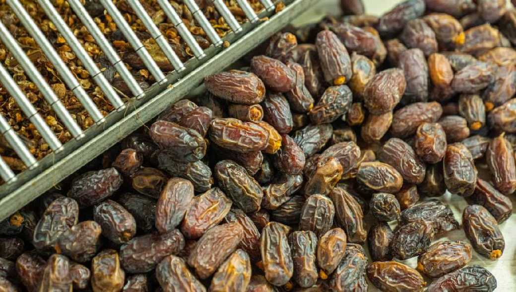 Medjool Dates: Health Benefits